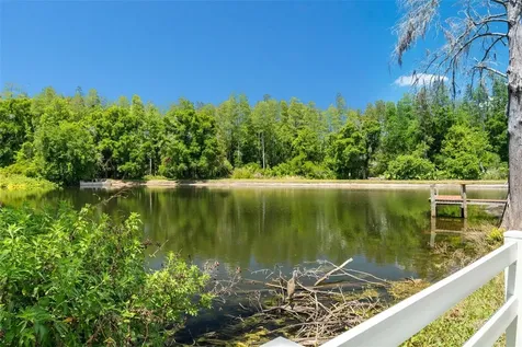 16104 Country Crossing Drive Tampa FL 33624