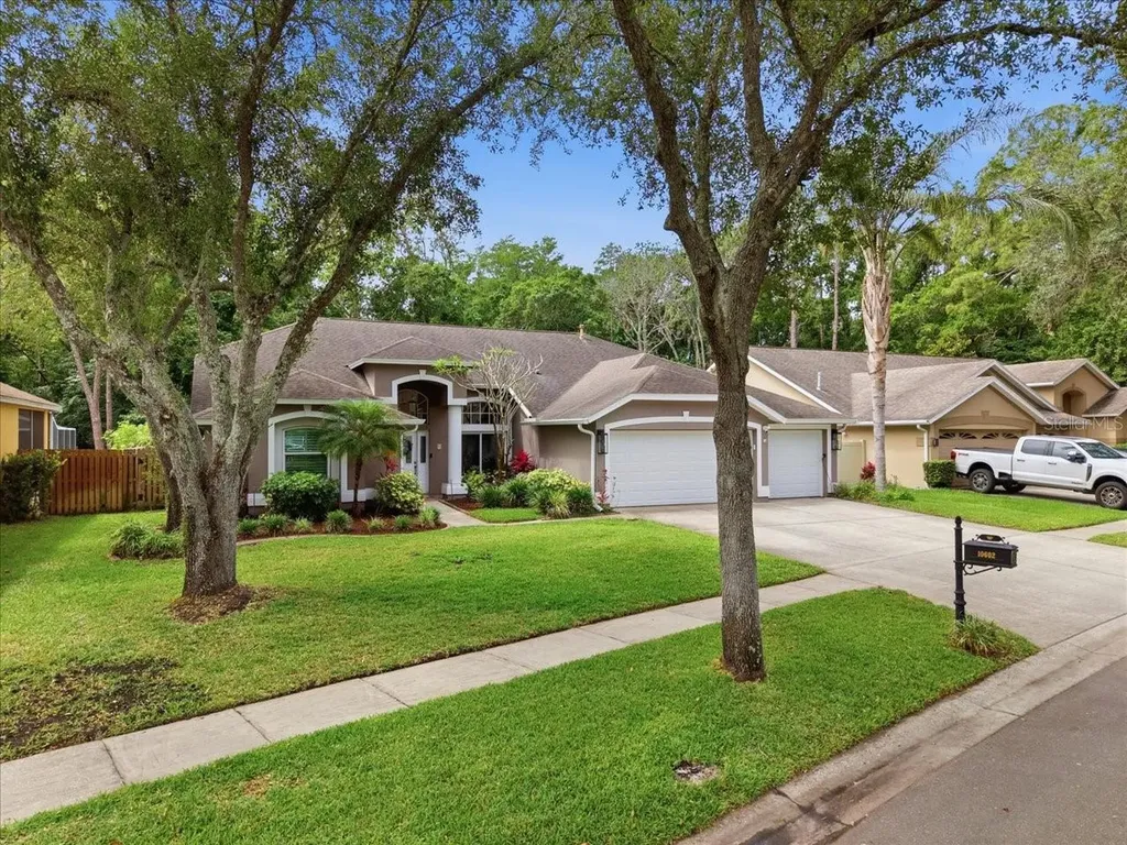 10602 Chambers Drive Tampa FL 33626