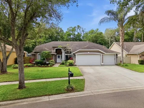 10602 Chambers Drive Tampa FL 33626