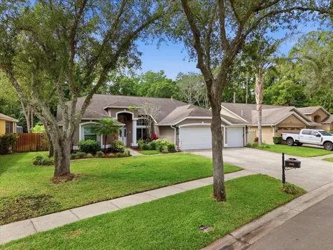 10602 Chambers Drive Tampa FL 33626