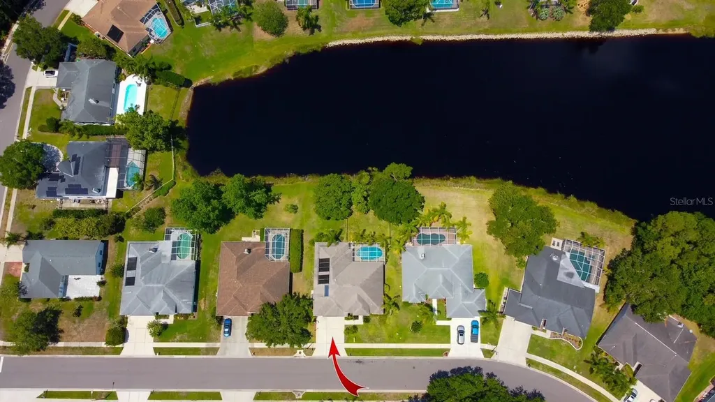 2456 Appaloosa Trail Palm Harbor FL 34685