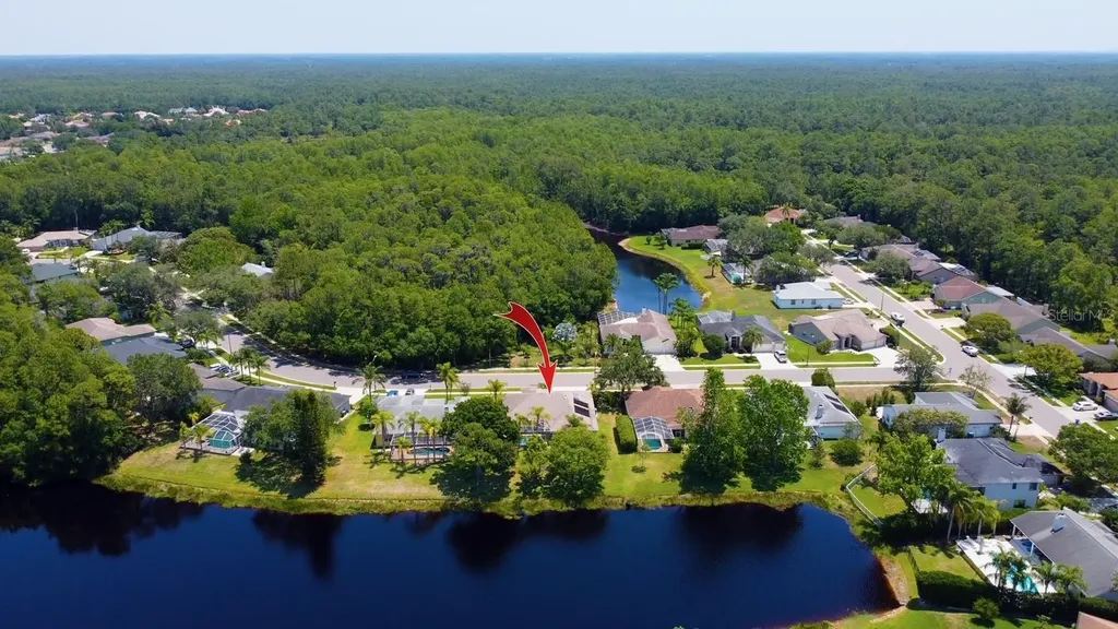 2456 Appaloosa Trail Palm Harbor FL 34685