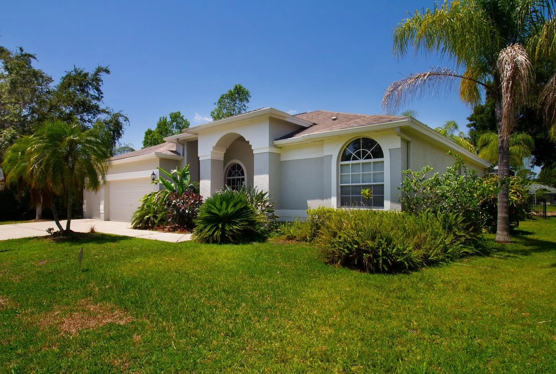 2456 Appaloosa Trail Palm Harbor FL 34685