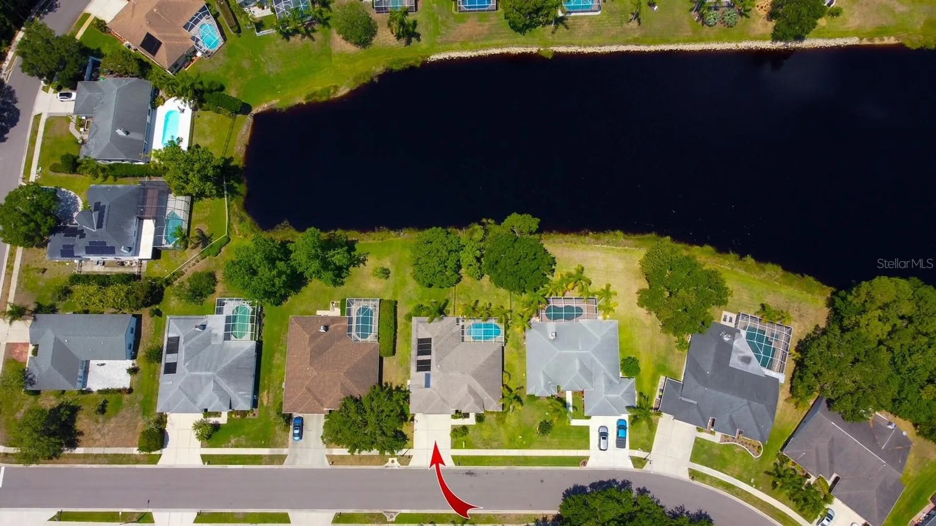 2456 Appaloosa Trail Palm Harbor FL 34685