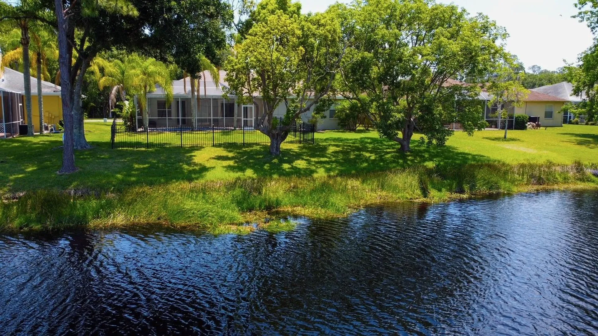 2456 Appaloosa Trail Palm Harbor FL 34685