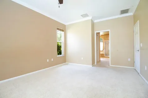 2456 Appaloosa Trail Palm Harbor FL 34685