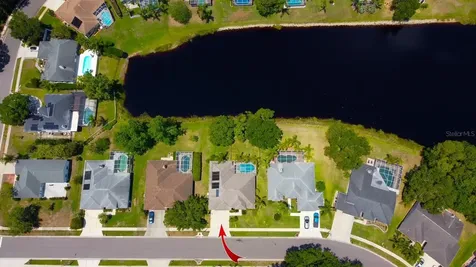 2456 Appaloosa Trail Palm Harbor FL 34685
