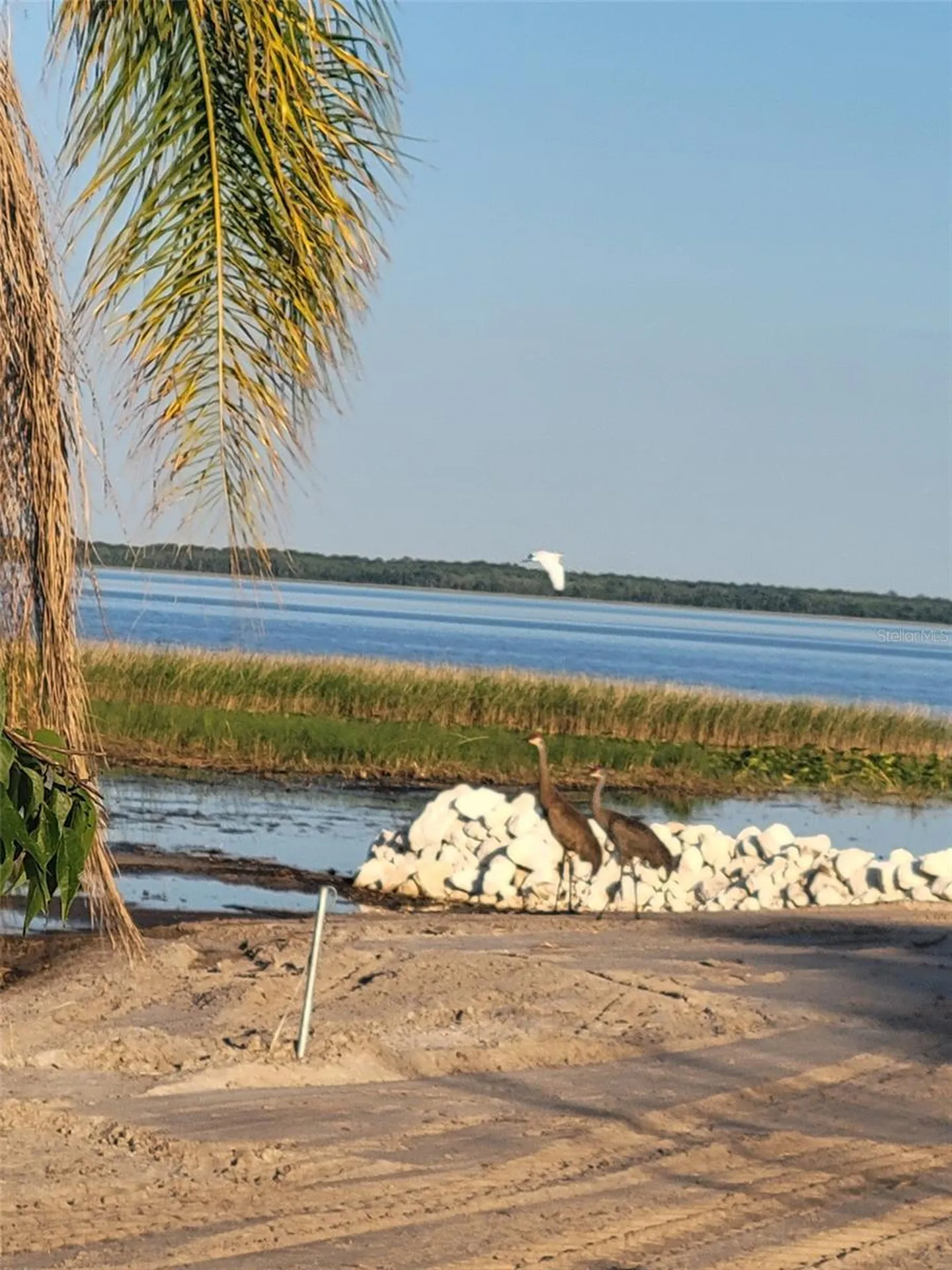 5031 Valencia Street Lake Wales FL 33853