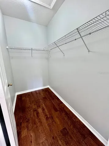 1039 Blackwater Drive Wesley Chapel FL 33543
