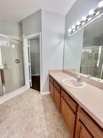 1039 Blackwater Drive Wesley Chapel FL 33543
