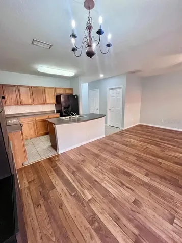 1039 Blackwater Drive Wesley Chapel FL 33543