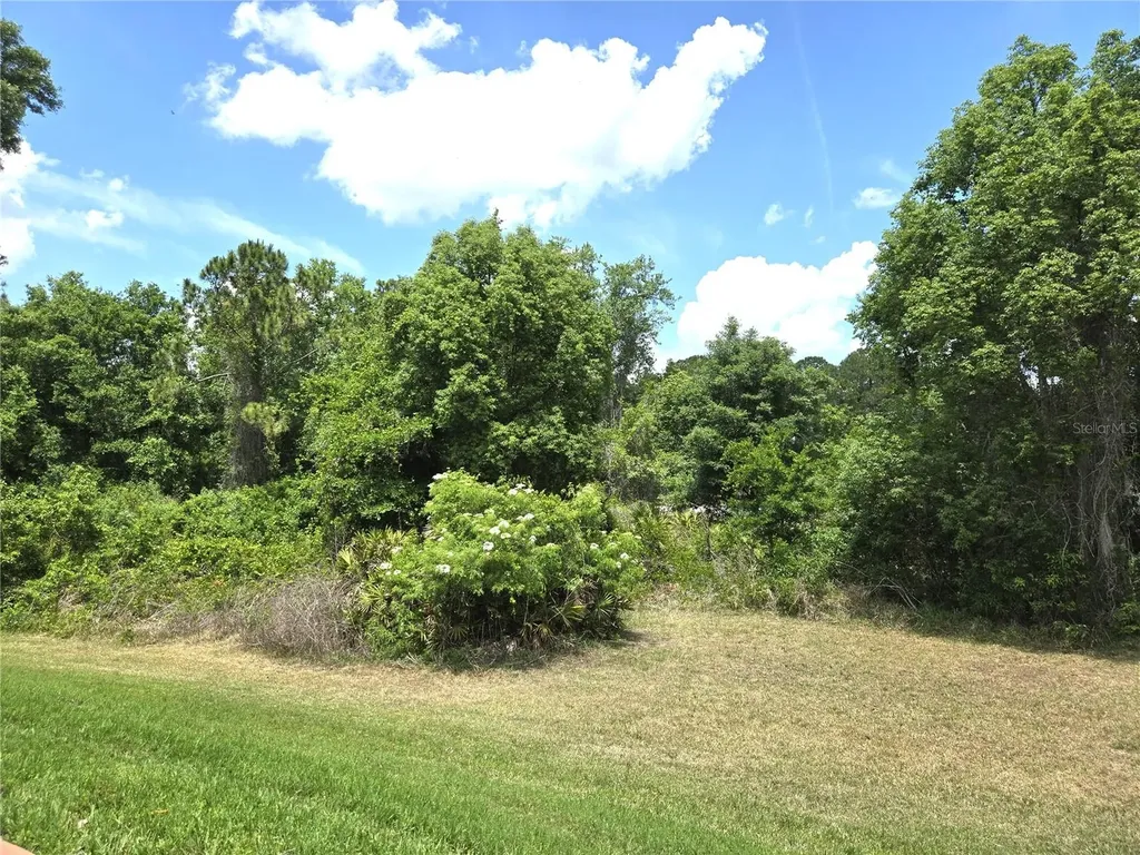 6433 Wilander Street Leesburg FL 34748