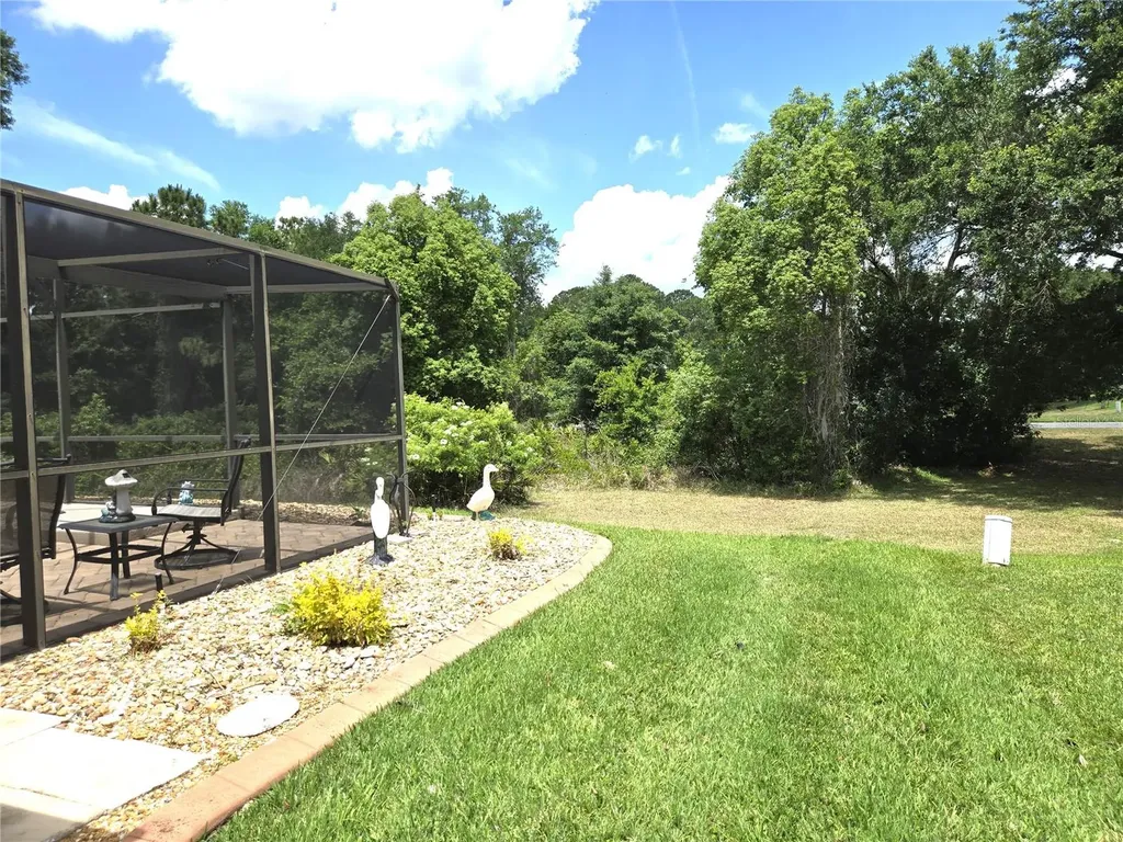 6433 Wilander Street Leesburg FL 34748