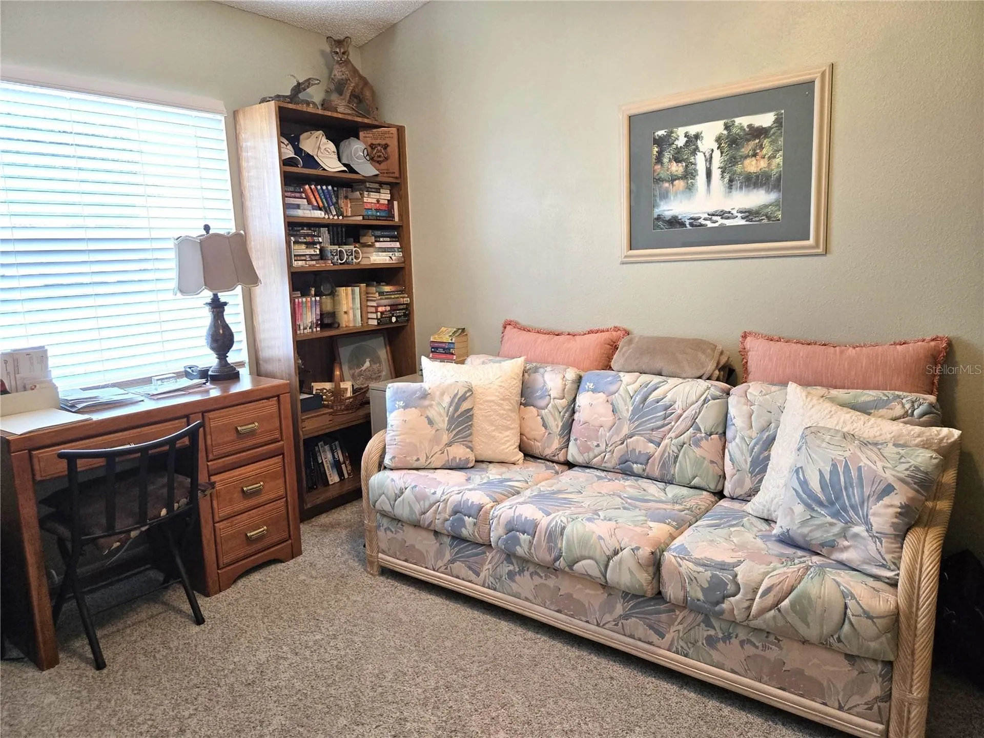 6433 Wilander Street Leesburg FL 34748