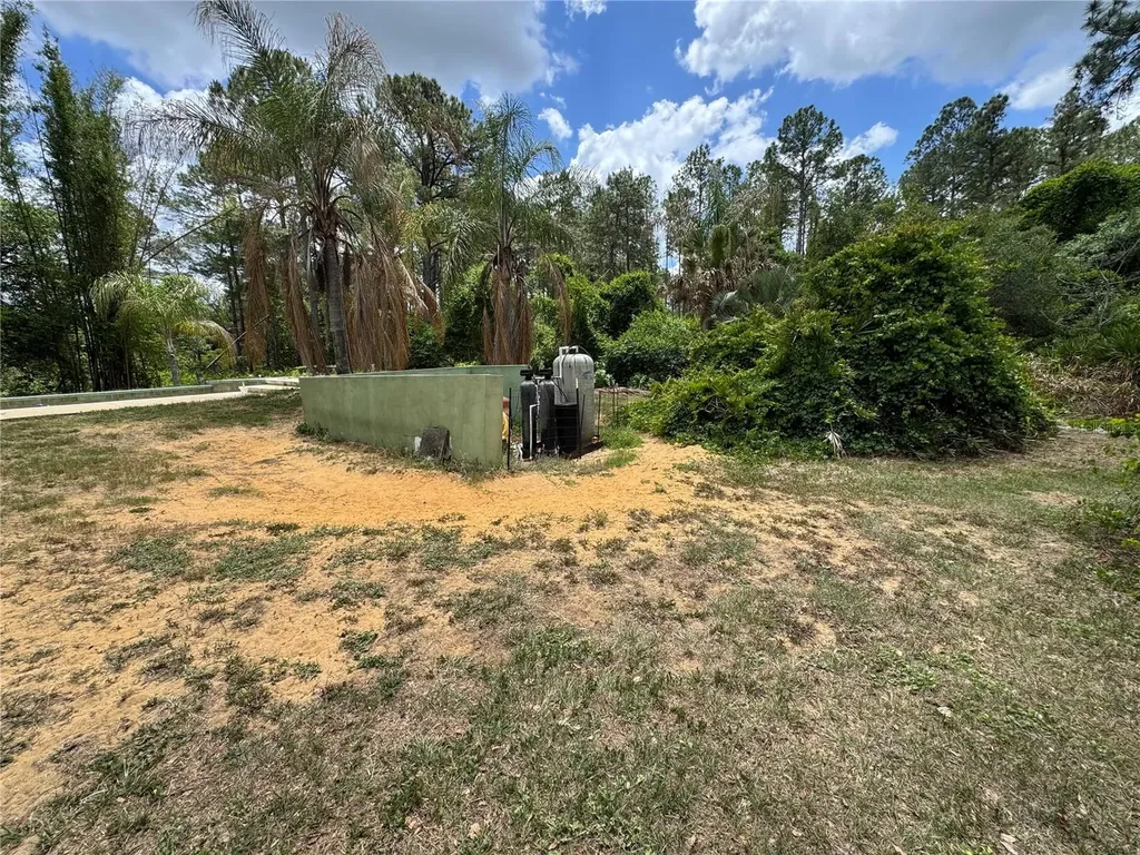30542 Apricot Avenue Eustis FL 32736