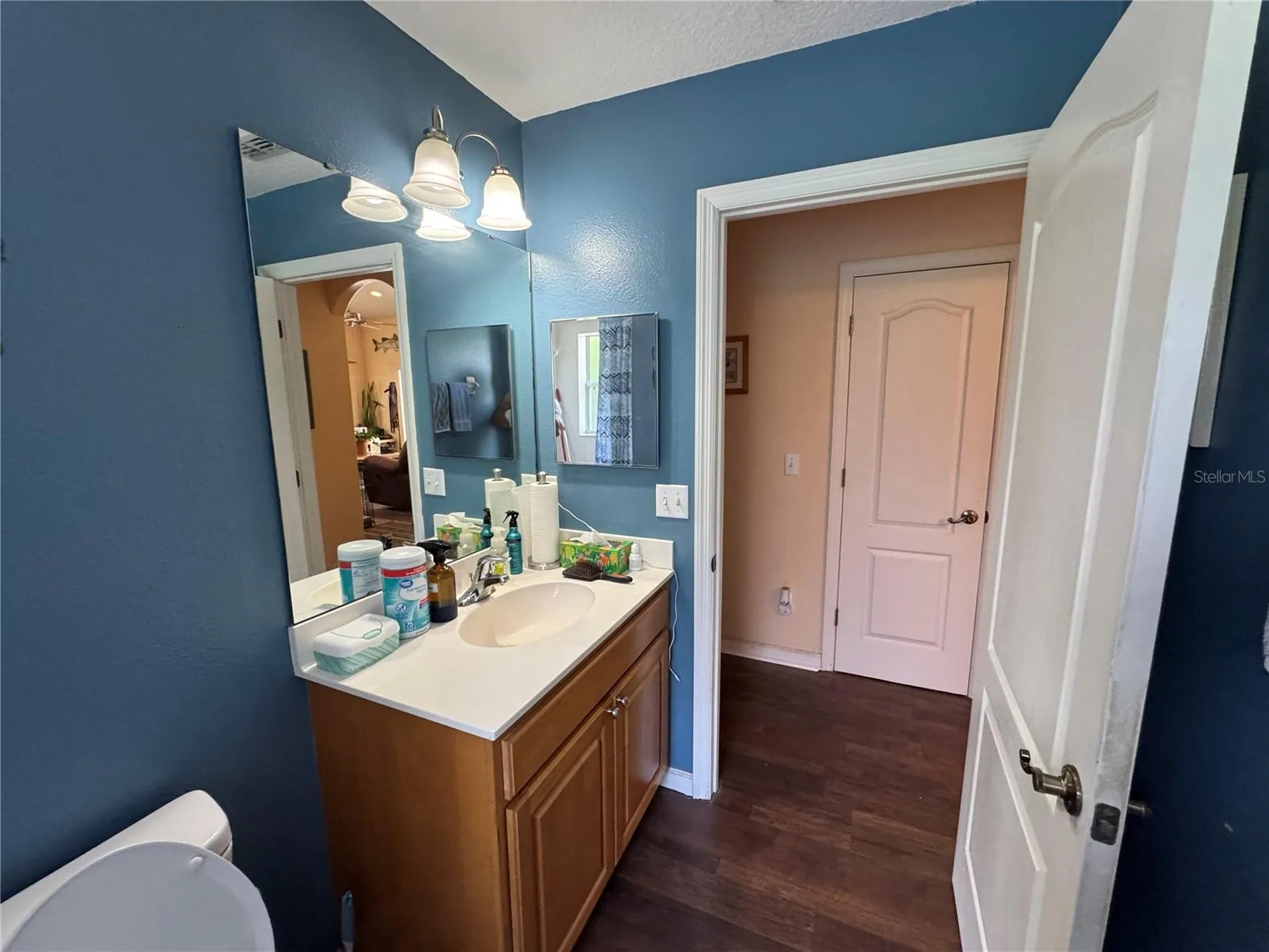 30542 Apricot Avenue Eustis FL 32736