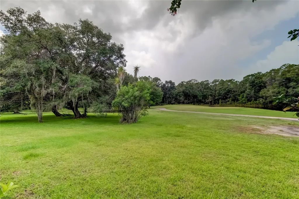 12943 Royal George Avenue Odessa FL 33556