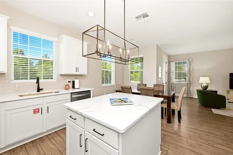 1390 Remick Court Kissimmee FL 34747