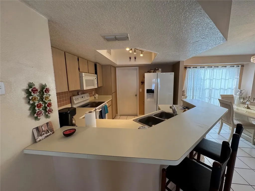 1915 Cheney Court Lutz FL 33549