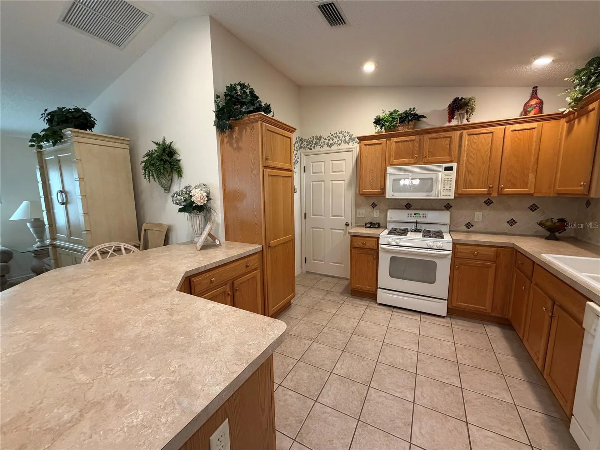 1071 Blythe Way The Villages FL 32162
