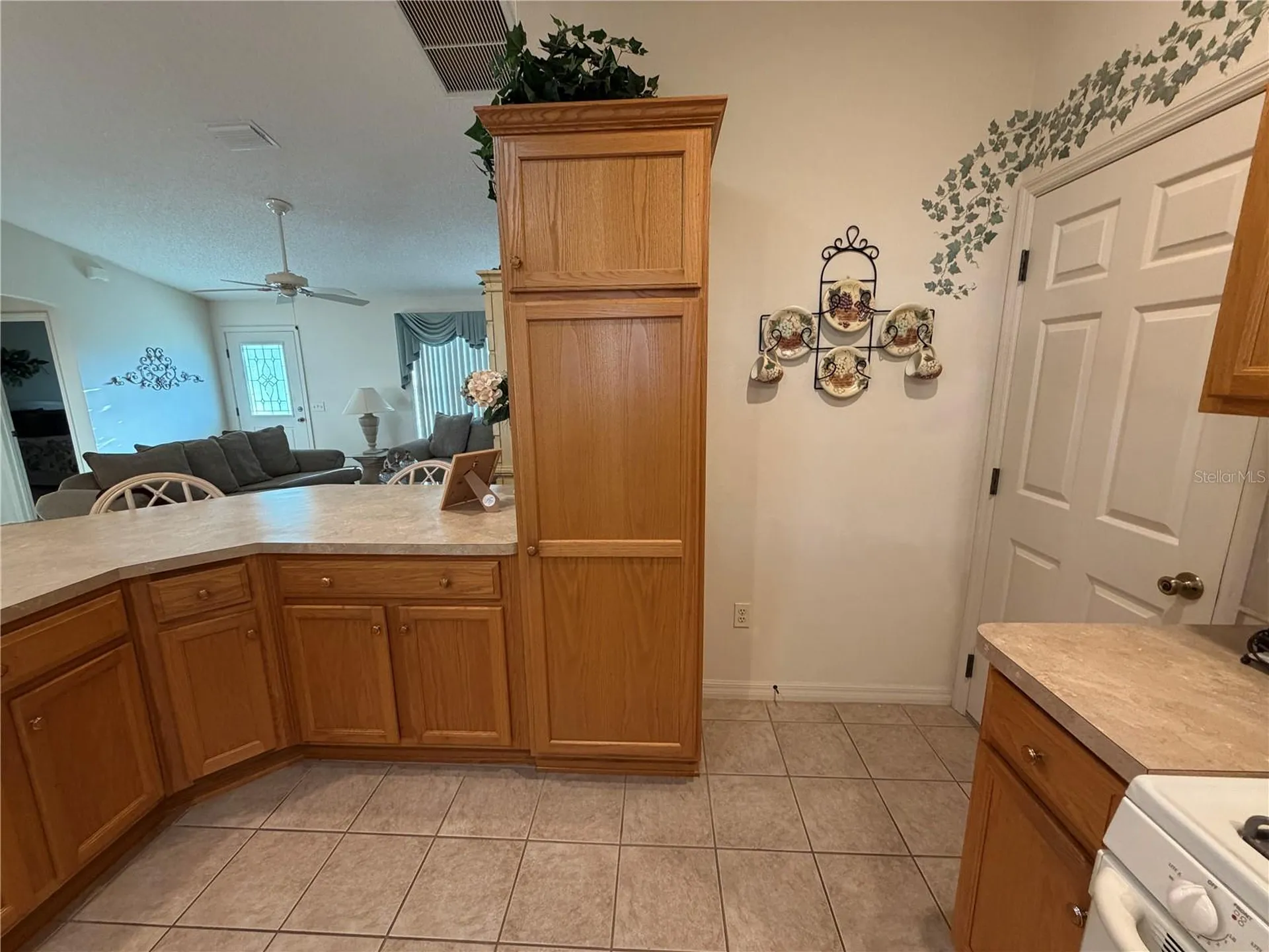 1071 Blythe Way The Villages FL 32162