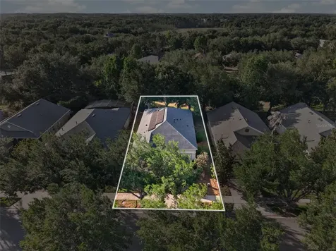111 Flame Vine Way Groveland FL 34736