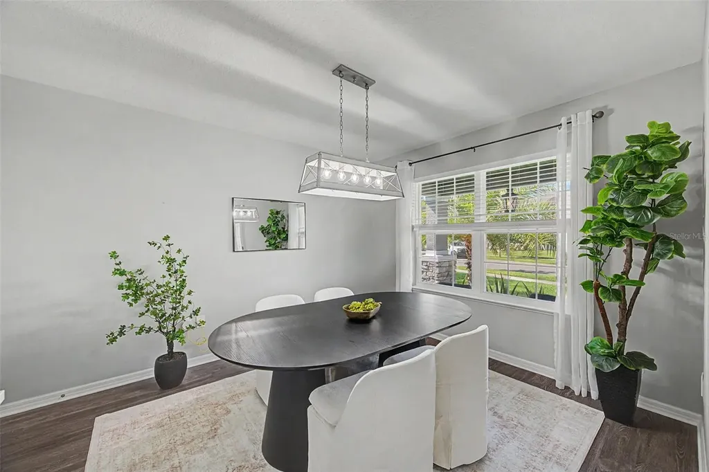 31015 Parrot Reef Court Wesley Chapel FL 33545