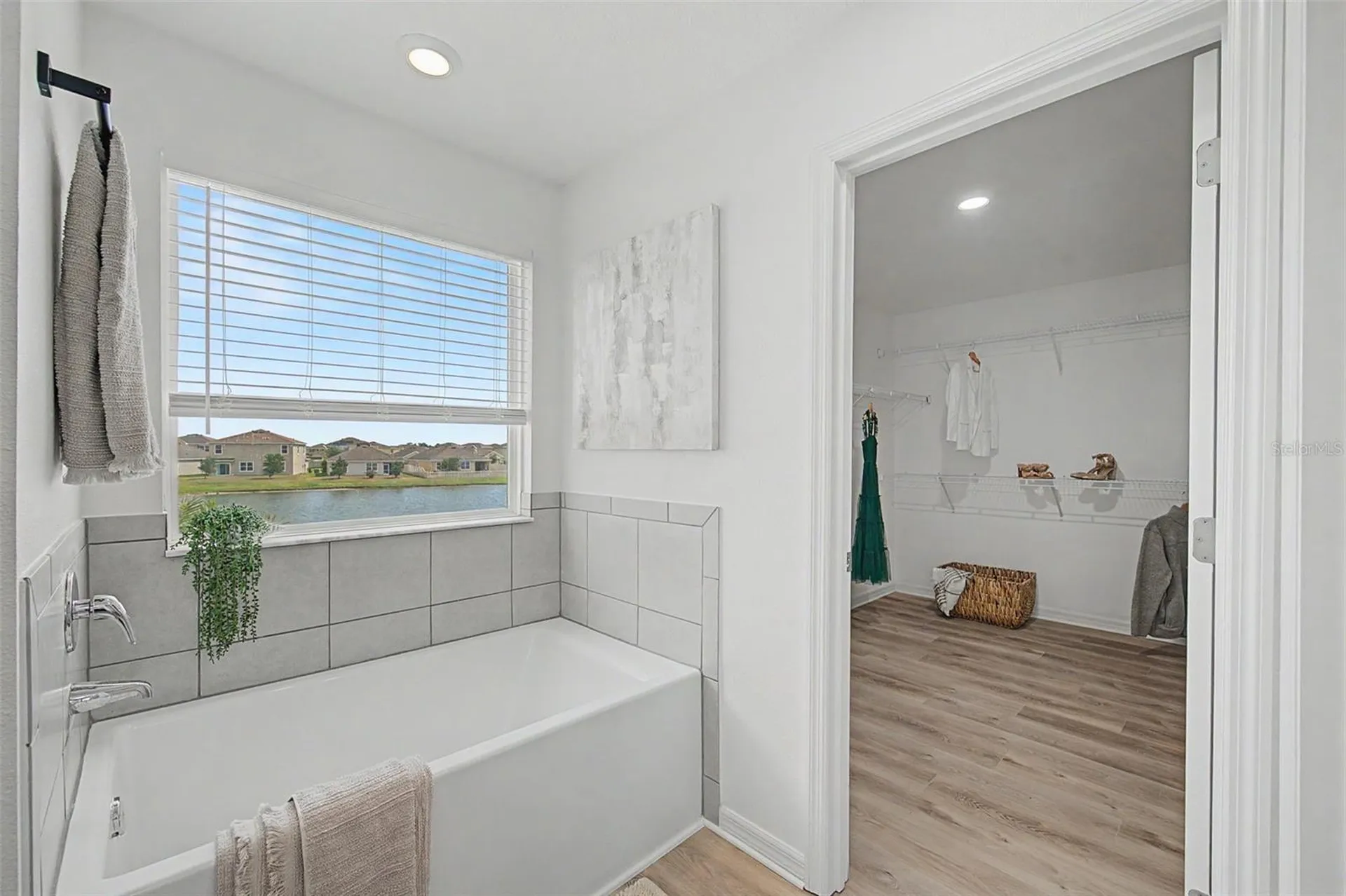 31015 Parrot Reef Court Wesley Chapel FL 33545
