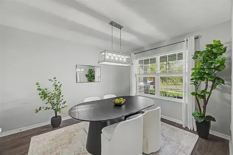 31015 Parrot Reef Court Wesley Chapel FL 33545