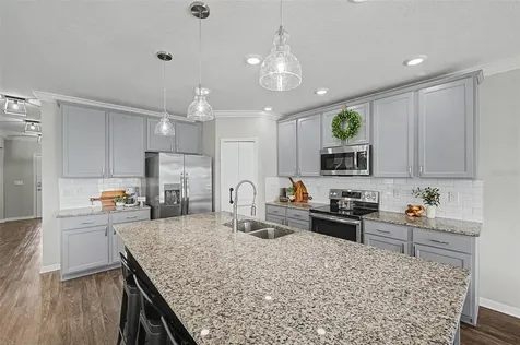 31015 Parrot Reef Court Wesley Chapel FL 33545