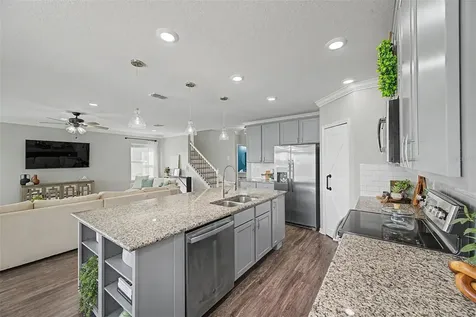 31015 Parrot Reef Court Wesley Chapel FL 33545