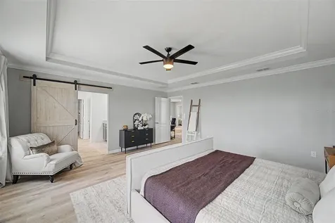 31015 Parrot Reef Court Wesley Chapel FL 33545