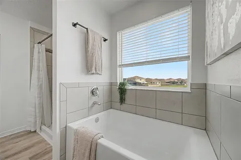 31015 Parrot Reef Court Wesley Chapel FL 33545