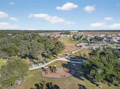 31015 Parrot Reef Court Wesley Chapel FL 33545