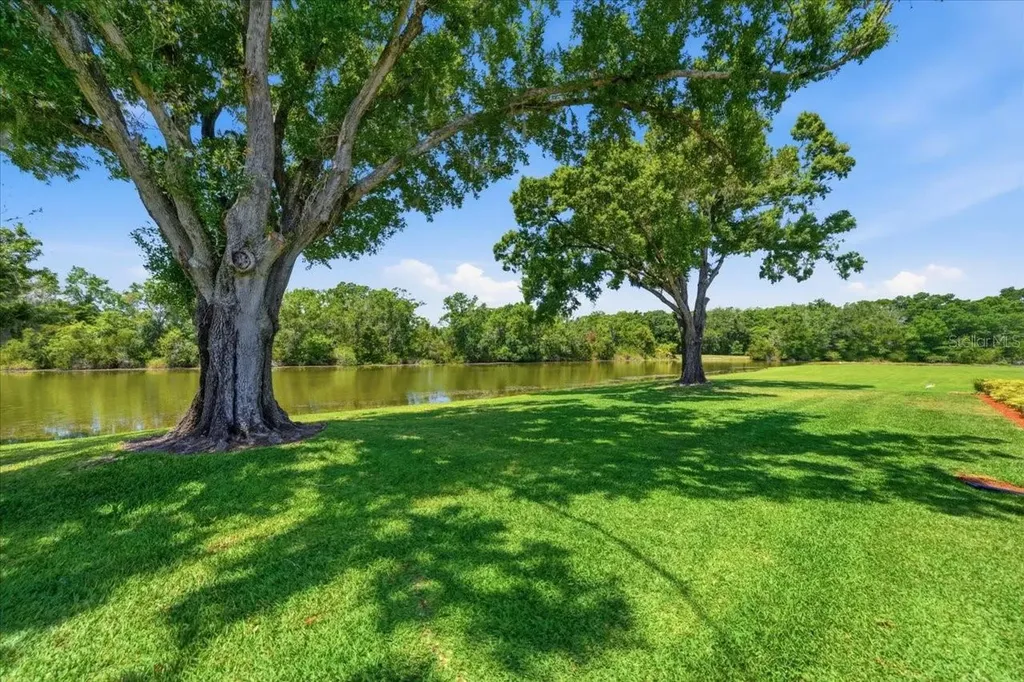 4326 Middle Lake Drive Tampa FL 33624