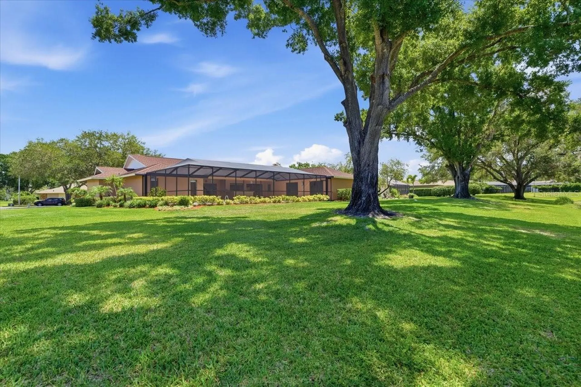 4326 Middle Lake Drive Tampa FL 33624
