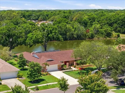 4326 Middle Lake Drive Tampa FL 33624