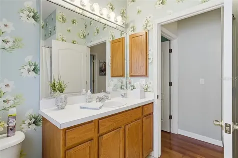 6210 Ikes Cabin Court Palmetto FL 34221