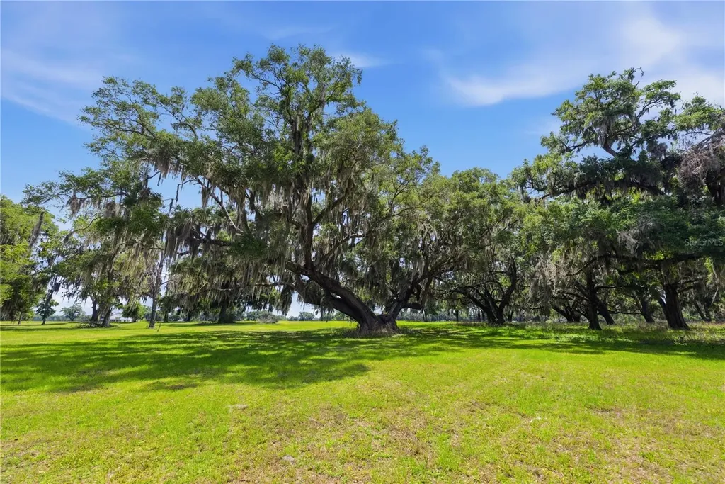 0 NE 16th Terrace Ocala FL 34479