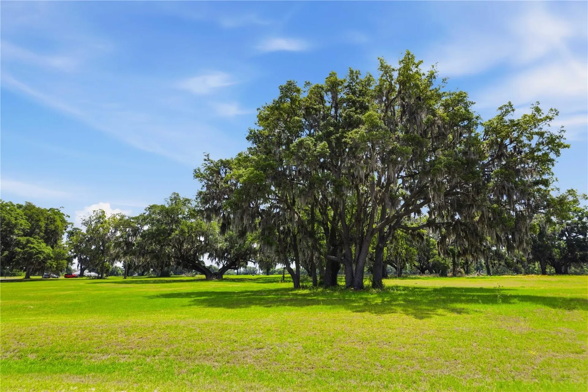 0 NE 16th Terrace Ocala FL 34479