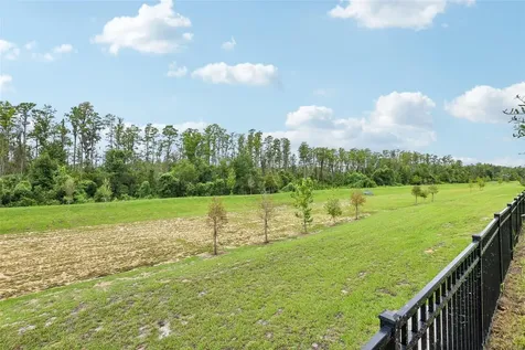 16321 Bird Of Paradise Avenue Clermont FL 34714
