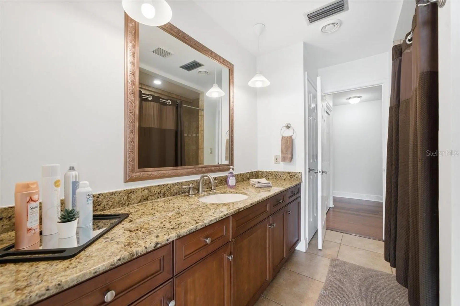 3042 Samara Drive Tampa FL 33618