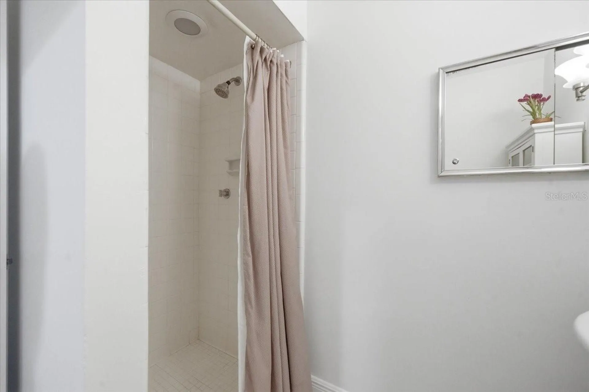 3042 Samara Drive Tampa FL 33618
