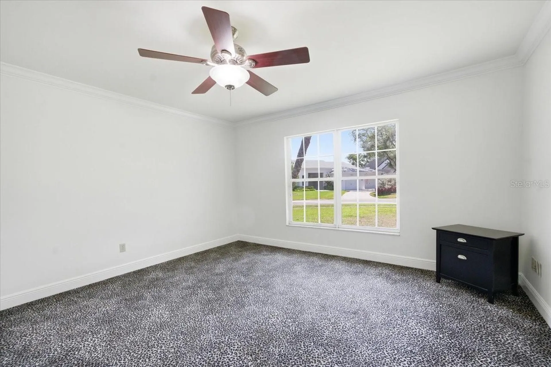 3042 Samara Drive Tampa FL 33618
