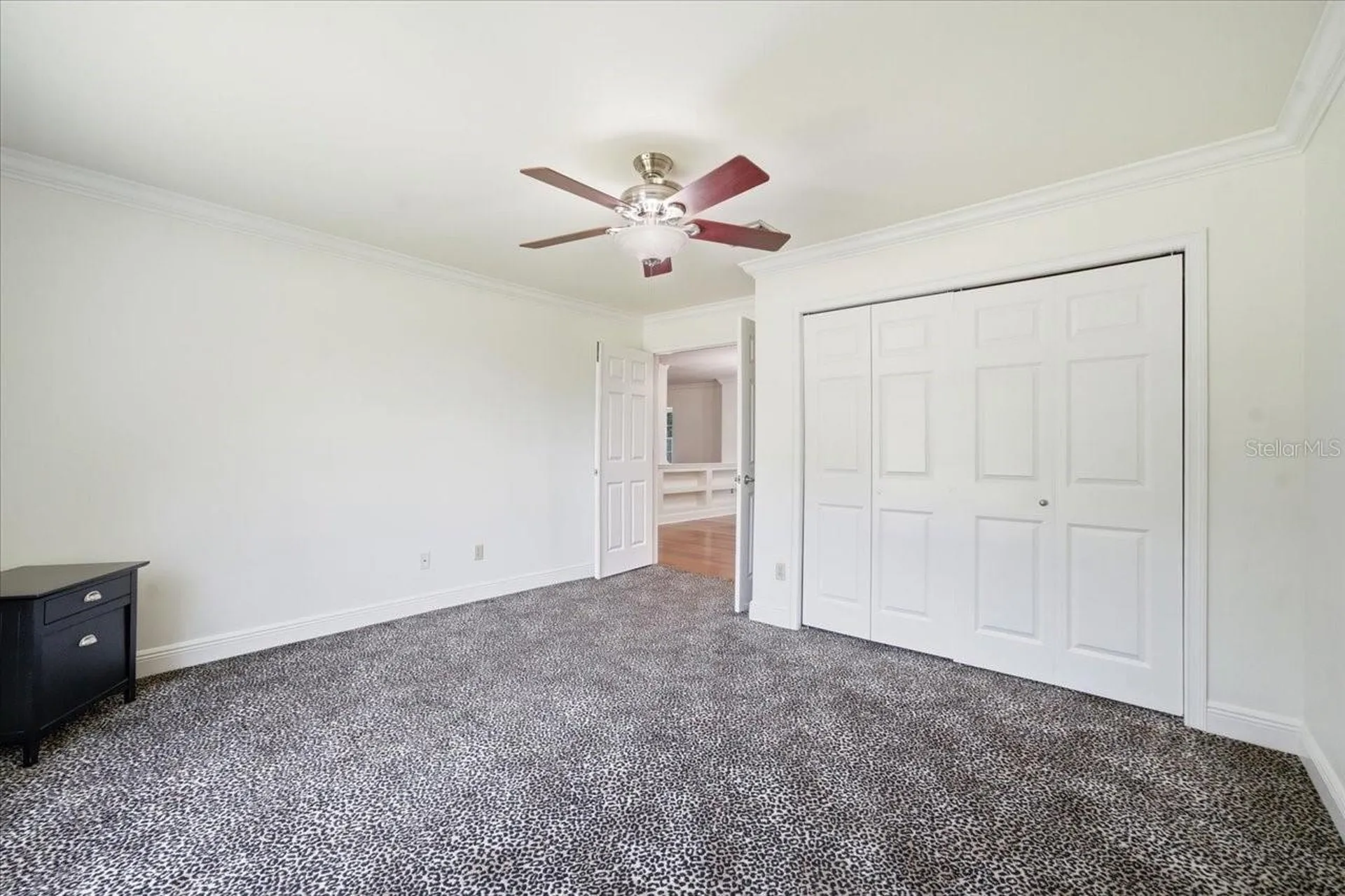 3042 Samara Drive Tampa FL 33618
