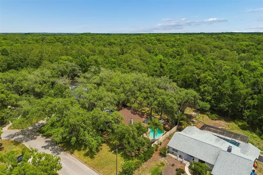 2525 Victarra Circle Lutz FL 33559