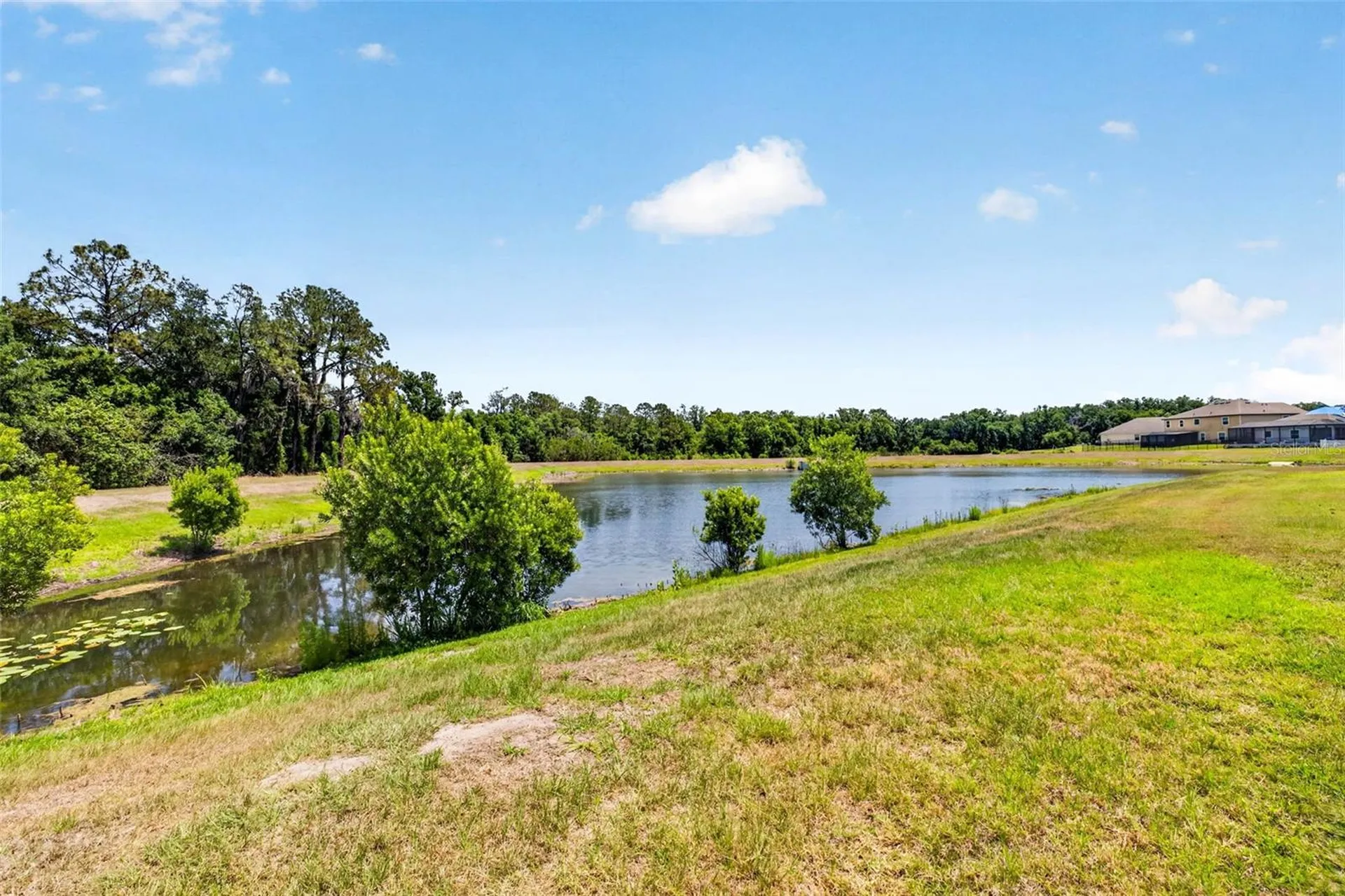 13410 Lakeview Oaks Lane Riverview FL 33579