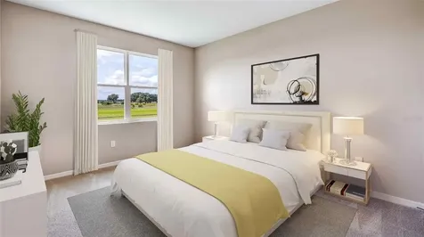 32679 Duluth Drive Wesley Chapel FL 33543