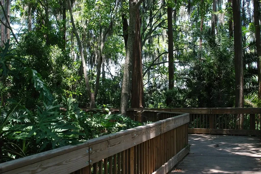 3333 Mcmath Drive Palm Harbor FL 34684