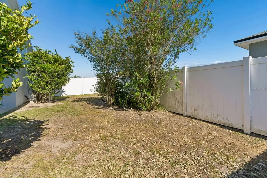 30816 Midtown Court Wesley Chapel FL 33545